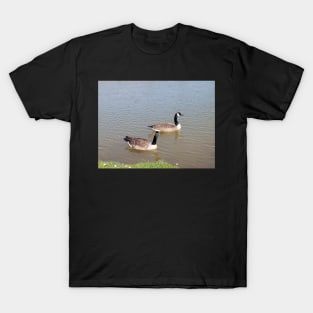 wild geese,gift,beautiful nature T-Shirt